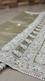 Organza with Chikankari work Saree (Water) - Image 2