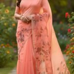Semi Organza Saree